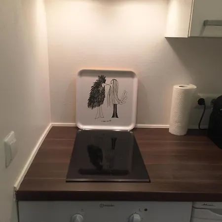Charming Salm 15 Apartament *